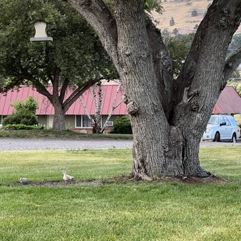 Golden West Motel - Hotels Near Me - Klamath Falls, Oregon Golden West Motel - Hotels Near Me - Klamath Falls, Oregon