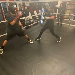 Champs Boxing and Fitness - Boxing ring for sparring