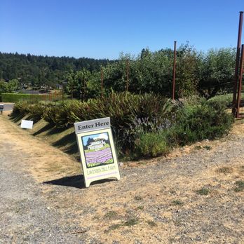Lavender Hill Farm - Vacation Rentals Near Me - Vashon, Washington Lavender Hill Farm - Vacation Rentals Near Me - Vashon, Washington