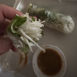 Spring Rolls