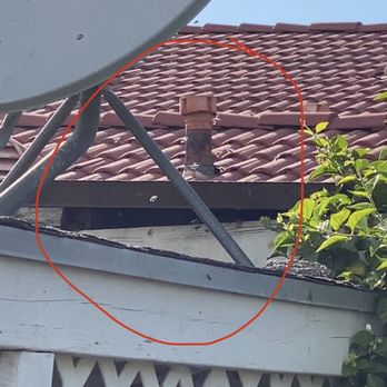 Bee Gone Bee Removal Service - Bees flying around getting into a very tiny opening and into the wall inside the house!! We could hear them in the wall! - Pest Control Near Me Bee Gone Bee Removal Service - Bees flying around getting into a very tiny opening and into the wall inside the house!! We could hear them in the wall! - Pest Control Near Me