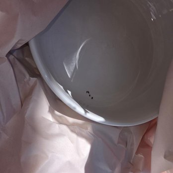 Tri-State Area Moving & Storage - Rodent Feces in tableware and dishes - Movers Near Me - Farmingdale, New York Tri-State Area Moving & Storage - Rodent Feces in tableware and dishes - Movers Near Me - Farmingdale, New York