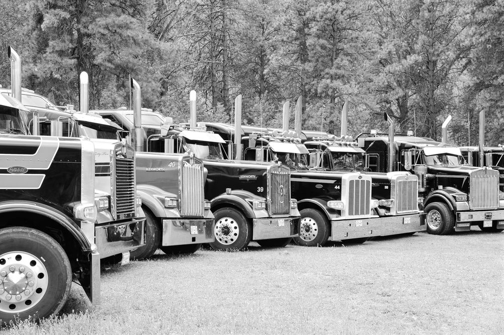 VESPER TRANSPORT Updated September 2024 17 Photos 121 VLA Road