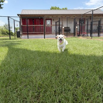 KT Dog Ranch and Kennel - Pet Boarding Near Me - Katy, Texas KT Dog Ranch and Kennel - Pet Boarding Near Me - Katy, Texas
