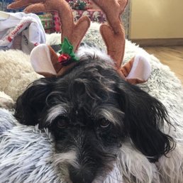 Jackson wishes all at Jackpot a Merry Christmas and Happy New Year! Jackson wishes all at Jackpot a Merry Christmas and Happy New Year!