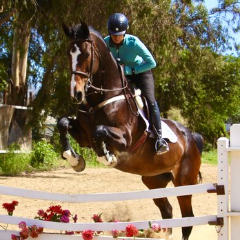 kfi showjumping - undefined - Horse Boarding Near Me - San Marcos, California