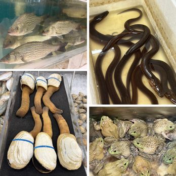 RD International Market - Fresh Fishes, Geoducks, Fresh Eels, Fresh Frogs.... - Food Court Near Me - Jacksonville, Florida RD International Market - Fresh Fishes, Geoducks, Fresh Eels, Fresh Frogs.... - Food Court Near Me - Jacksonville, Florida
