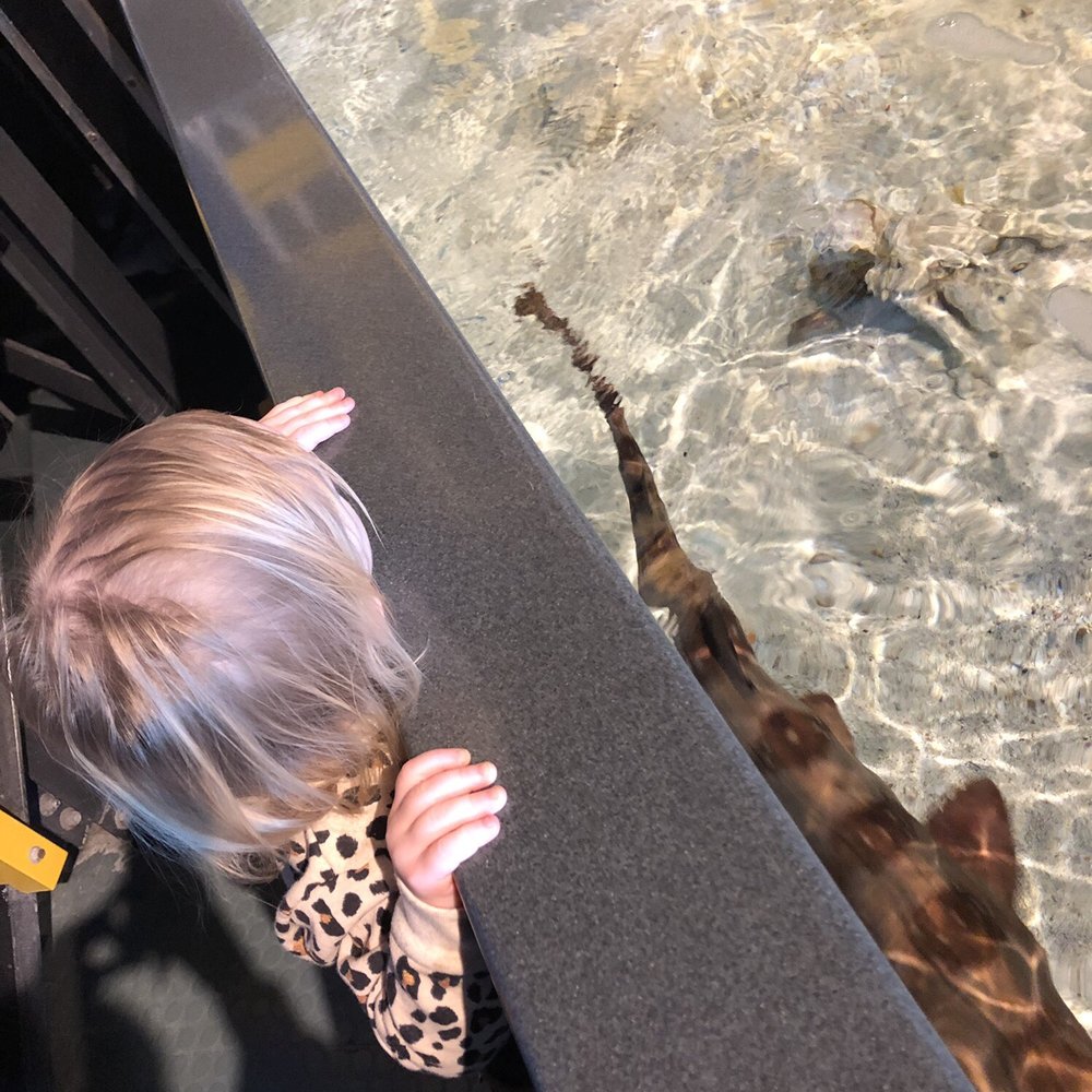 Nauticus - Museums Near Me - Norfolk, Virginia Nauticus - Museums Near Me - Norfolk, Virginia