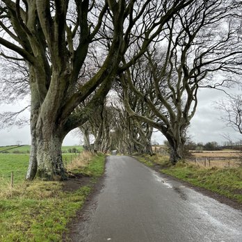 The Dark Hedges - Landmarks & Historical Buildings Near Me - Antrim, BLY The Dark Hedges - Landmarks & Historical Buildings Near Me - Antrim, BLY