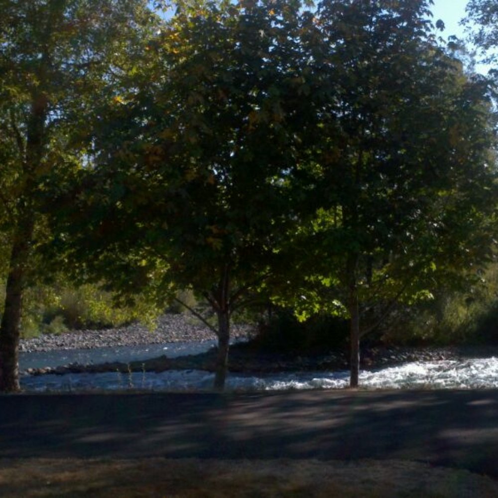 View from site.