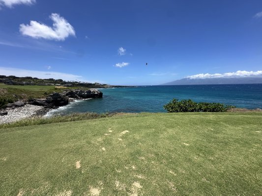 Kapalua Golf - The Plantation Course by null