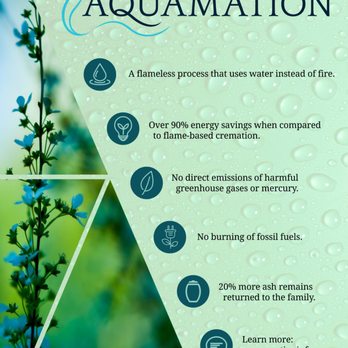Palmetto Pet Aquamation - Pet Cremation Services Near Me Palmetto Pet Aquamation - Pet Cremation Services Near Me