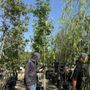 Photo of Moon Valley Nurseries