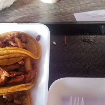 Los Takuchos Taqueria - a plate of tacos - Tacos Near Me - Phoenix, Arizona