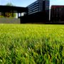 Photo of Total Ground Care