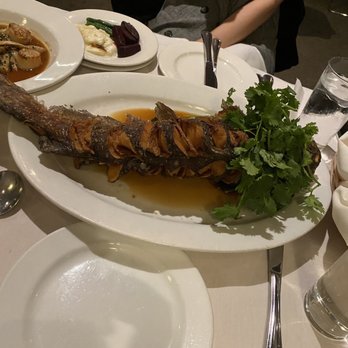 Shiro - Whole Sizzling Catfish - Asian Fusion Near Me - South Pasadena, California Shiro - Whole Sizzling Catfish - Asian Fusion Near Me - South Pasadena, California
