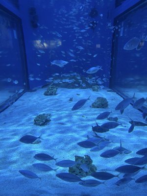 L’Aquàrium de Barcelona by null