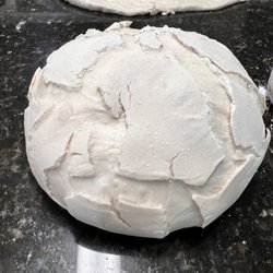 Harvest Bakery - Harvest Bakery dough