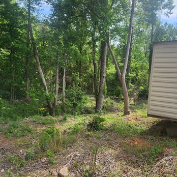 J Southern Solutions - Before: Clearing and grading our back year with slope - Carpenters Near Me