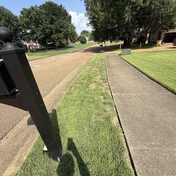 Weed Man - Lawn Services Near Me - Memphis, Tennessee Weed Man - Lawn Services Near Me - Memphis, Tennessee