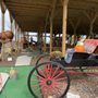 Photo of Paradise Acres Family Farm Park