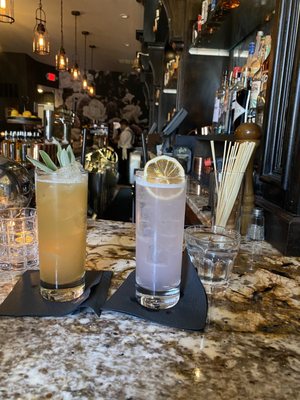 The Blind Pig of Westchester by null