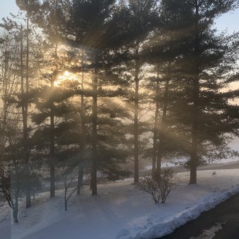 All Branched Out Tree Service - All cleaned up looking good! - Tree Services Near Me - Walkersville, Maryland All Branched Out Tree Service - All cleaned up looking good! - Tree Services Near Me - Walkersville, Maryland