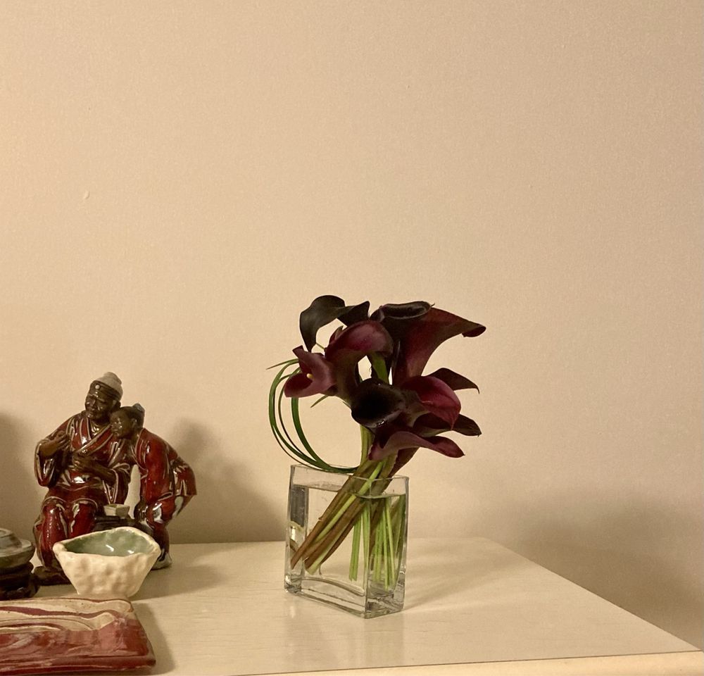 Photos of AMARANTH Updated August 2024 36 Photos 27 Barclay St