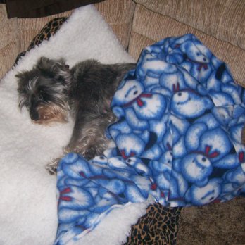 SAGE Veterinary Centers - Dublin - Nap time - Veterinarians Near Me - Dublin, California
