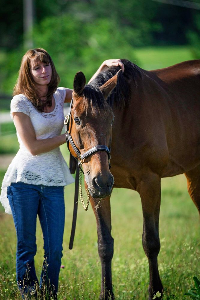 Passchendaele Farm - equestrian in Waldoboro, ME