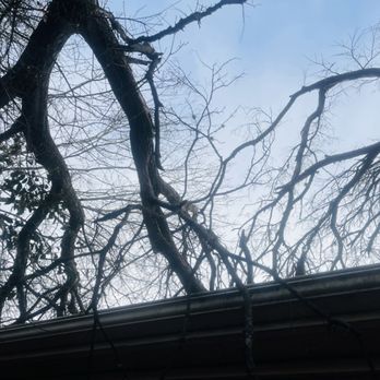 Catheys Austin Tree Service - BEFORE: a number of broken limbs on the roof. But not anymore thanks to Cathey's Tree Service. - Tree Services Near Me - Cedar Park, Texas