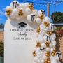 Photo of Moonlight Decoration