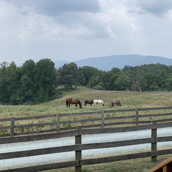 Knight's Gambit Vineyards - Wineries Near Me - Charlottesville, Virginia