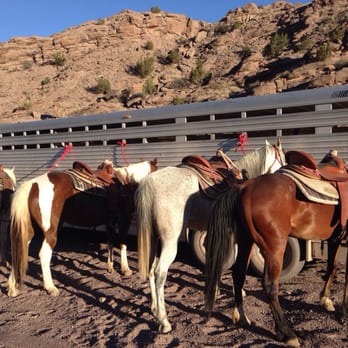 Acacia Riding Adventures - Ready to ride?! - Horseback Riding Near Me - San Acacia, New Mexico Acacia Riding Adventures - Ready to ride?! - Horseback Riding Near Me - San Acacia, New Mexico