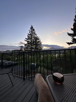 Thunder Island Brewing Co by null