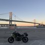 Photo of Monkey Moto School