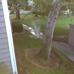 I've had the pleasure of this beautiful fountain outside my bedroom window for 2 years.... Only at 5am though. I've had the pleasure of this beautiful fountain outside my bedroom window for 2 years.... Only at 5am though.