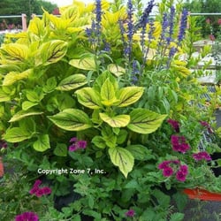 Zone 7 Landscape Center