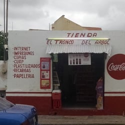 El tronco del árbol - Fachada de la tienda
