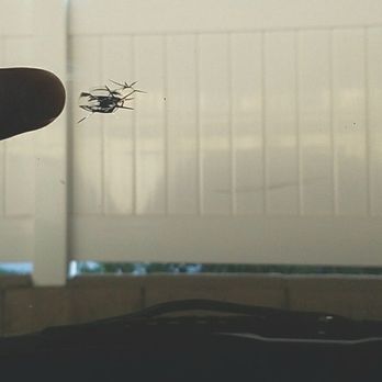 Moon Glaze Windshield Repair - Before - Windshield Installation & Repair Near Me