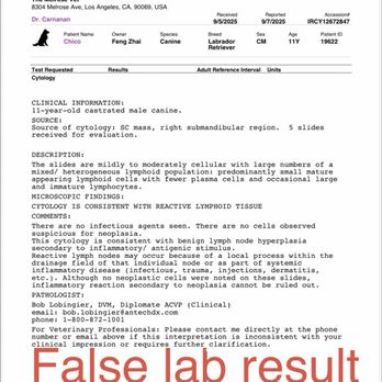 The Melrose Vet - false lab result from melrose - Veterinarians Near Me - Los Angeles, California The Melrose Vet - false lab result from melrose - Veterinarians Near Me - Los Angeles, California