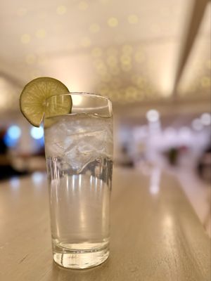 Tree House Brewing - Cape Cod by null