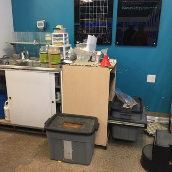 Petco - Fish station - Pet Stores Near Me - Sunset Valley, Texas