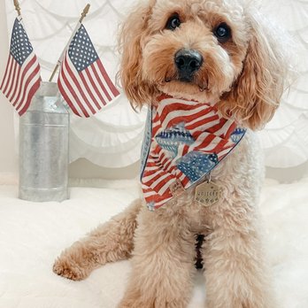 The Pretty Puppy - Pet Groomers Near Me - Ontario, California The Pretty Puppy - Pet Groomers Near Me - Ontario, California
