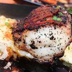 Solid - Pulpo a la brasa