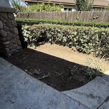 Cut Rite Tree Service - Tree & stump were removed. Missing sprinkler, moved bench sitting, rocks moved with some buried. - Tree Services Near Me - Fresno, California Cut Rite Tree Service - Tree & stump were removed. Missing sprinkler, moved bench sitting, rocks moved with some buried. - Tree Services Near Me - Fresno, California
