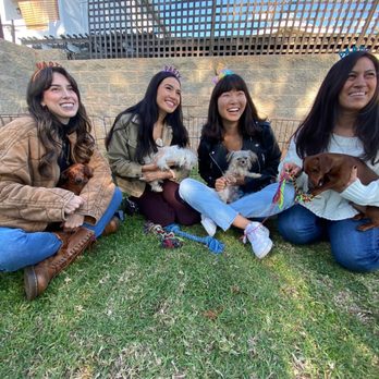PUPPIES AND REPTILES FOR PARTIES - 146 Photos & 129 Reviews - Torrance