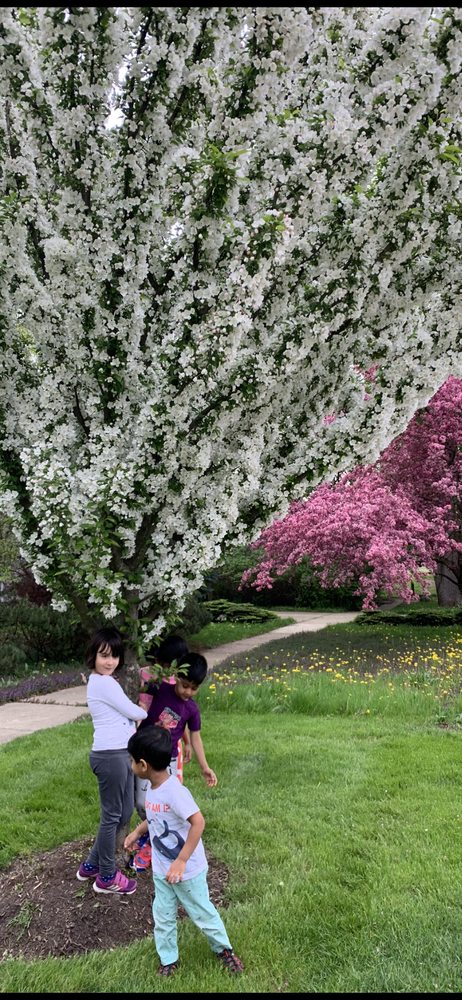 Blooming Buds Home Day Care - childcare center in Palatine, IL