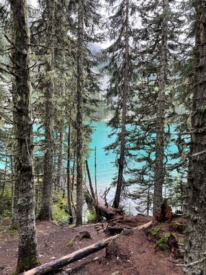 Joffre Lakes Park by null
