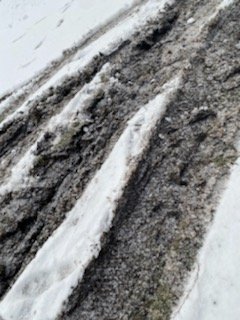 Life Arborist Tree Services & Stump Grinding - tree service in Getzville, NY